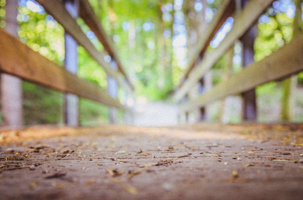 Narben der Vergangenheit – Wie Erlebnisse uns formen und uns den Weg zeigen Ein unscharfer Blick über eine hölzerne Brücke, umgeben von grünem Lichtspiel der Natur – ein Symbol für den Weg der Heilung und die Kunst, die Vergangenheit loslassen und heilen zu können.